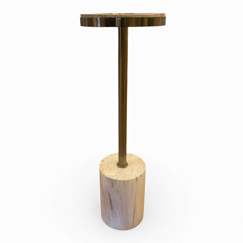 tisch_versteinertes_holz__4_.jpg