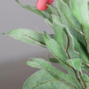 178619_Product.jpg