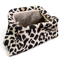 leopard (1).jpg