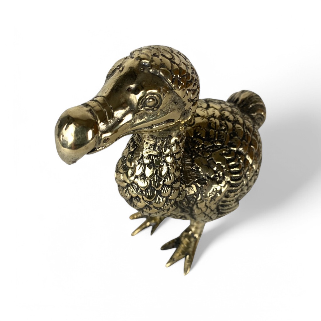 dodo_klein (1).jpg