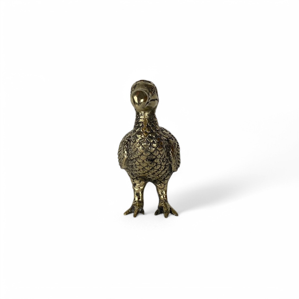 dodo_klein (4).jpg