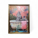 Bild ZEBRA IN WANNE