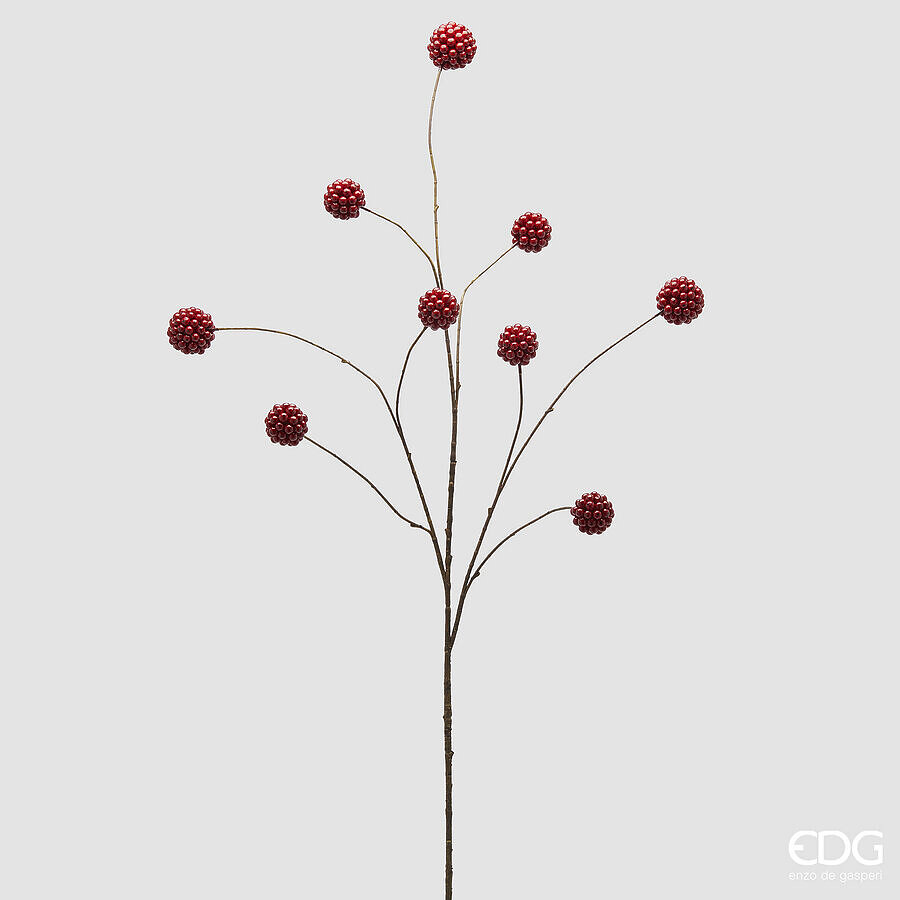 ILEX groß