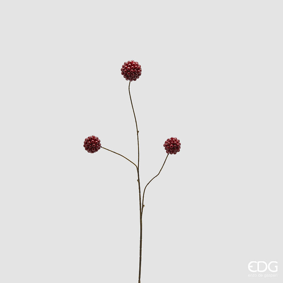 ILEX klein