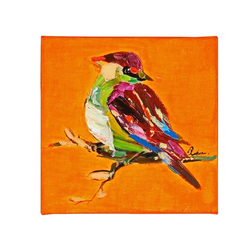 [P0012875] Bild BIRDY orange